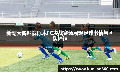 胜游官网
